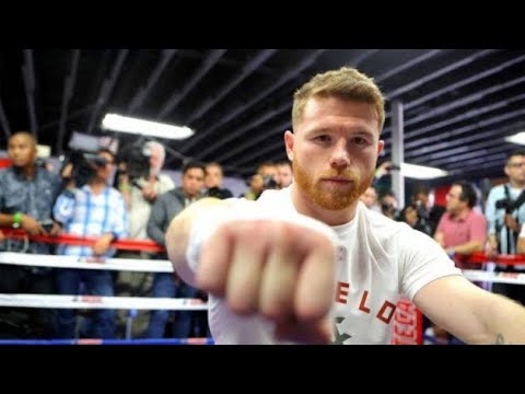 РАЗБОР ТЕХНИКИ САУЛЯ «CANELO» АЛЬВАРЕСА 🇲🇽🥊🥃🔥