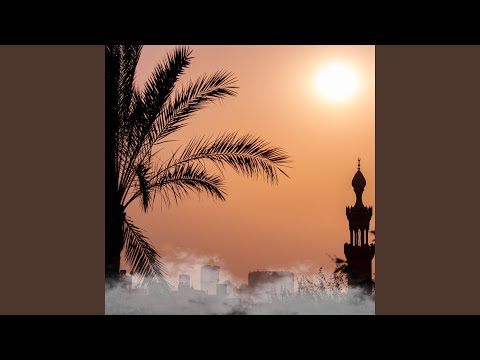 القادم افضل ان شاء الله