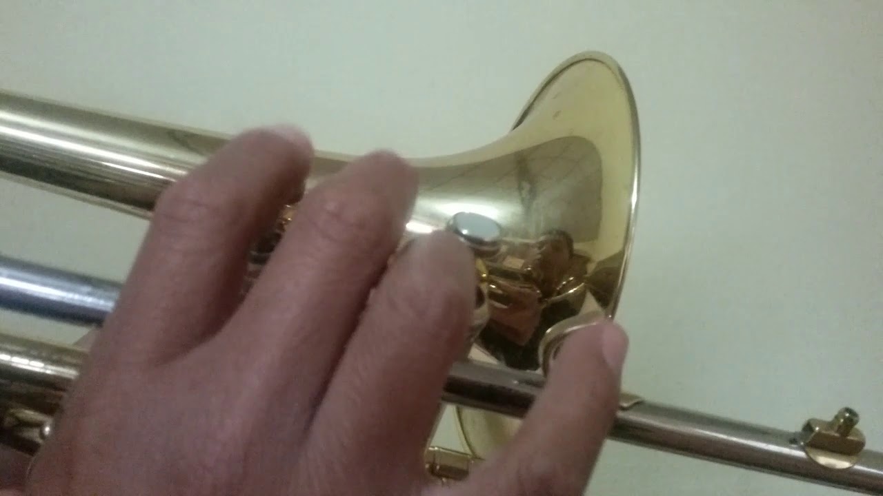 Banda Banda