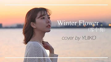 Winter Flower 雪中梅（Younha & RM) - cover by YUIKO