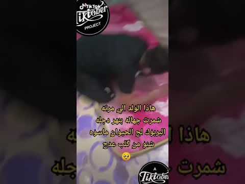 مرته ذبت جهاله بل مي من فوق الجسر بسبب طلقها
