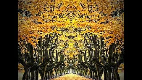 Sokolov - Byrd.wmv
