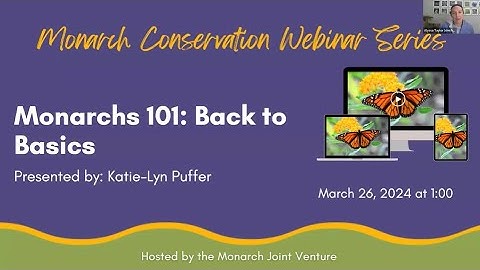 Monarch Conservation Webinar Series - Back to Basics: Monarchs 101 (Mar 2024)