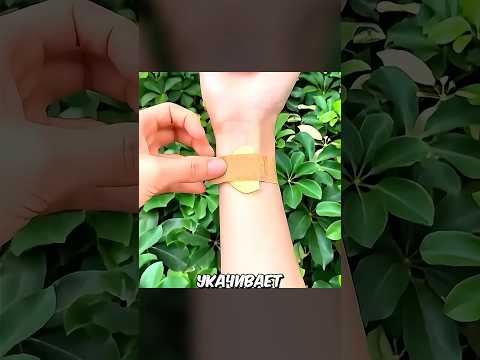 Только Китайцы Знают Об Этом #shorts
