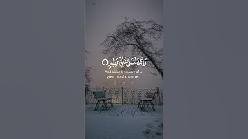 تلاوة خاشع من سورة القلم