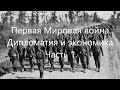 Первая Мировая война. Дипломатия и экономика воюющих стран в 1914-1915 годах.