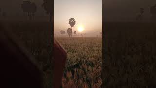 #the best of rural life #trendingshorts #felling #farming #my #villagelife