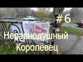 Неравнодушный Королёвец #6. Незаконное  размещение рекламы