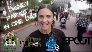 EVERY DISNEY PARK IN ONE DAY