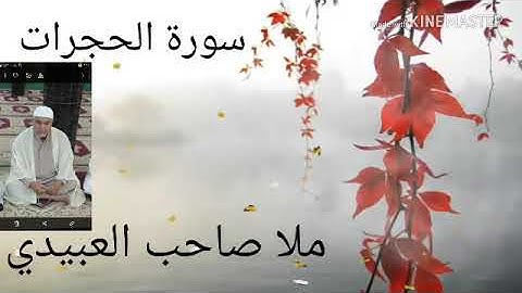 سورة الحجرات=هديتى الى ارواح امواتكم اخوانى واخواتى الاطهار =ملا صاحب العبيدى