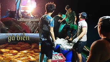 NGÀY ăn cá nóc đêm làm cá nục # đánh bắt cá