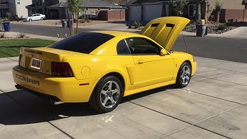 Terminator Cobra Walkaround Plans for the Cobra