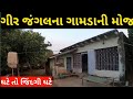 Real traditional village life gujarat  life in gir forest  village tourism