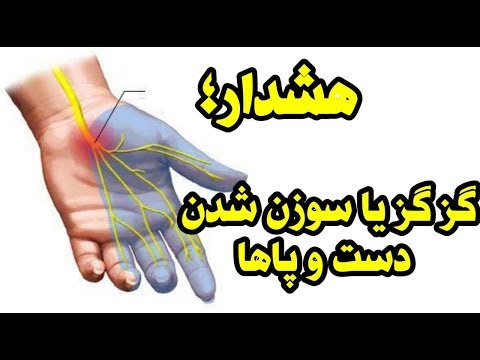 تصویری: سندرم های پارانئوپلاستیک در گربه ها