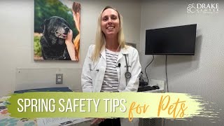 Spring Safety Tips and Hazards with Dr. Kovac by The Drake Center for Veterinary Care 87 views 1 month ago 24 minutes