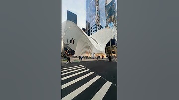 Architectural wonder  Oculus Building  🇺🇸 🌆