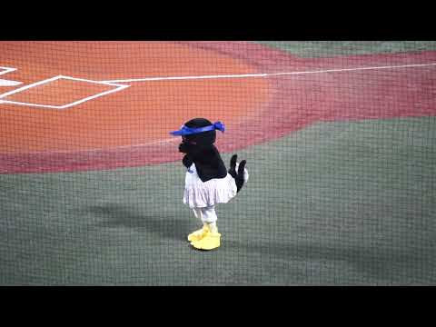 2022/10/14(金) つばみ リサイタル(試合前) CSファイナルステージ 東京ヤクルトスワローズ vs 阪神タイガース 3回戦