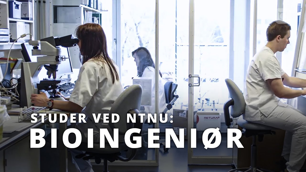 elektroingeniør ntnu