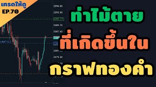 แชร์วิธีการเทรด forex ด้วยเทคนิค Trend + W pattern | เทรดให้ดู EP.70