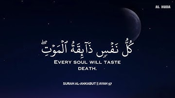 أرح سمعك.. تلاوة هادئة تريح القلب والعقل💚😴 | ساعة كاملة🕛🎧 القارئ محمد هشام | Mohamed Hesham