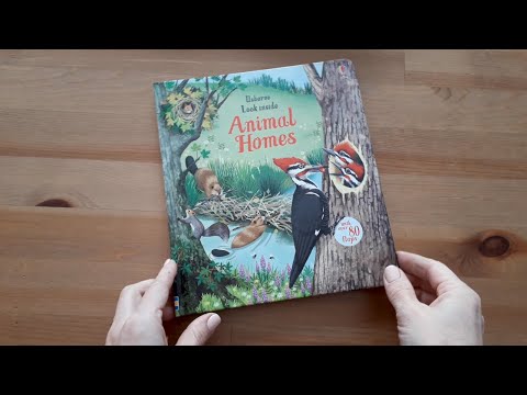 Look inside animal homes - Usborne