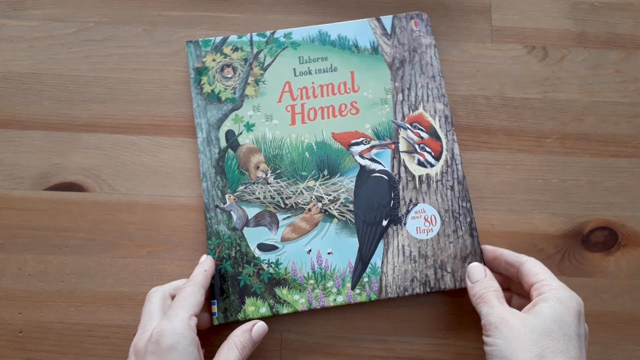 Look inside animal homes - Usborne - YouTube