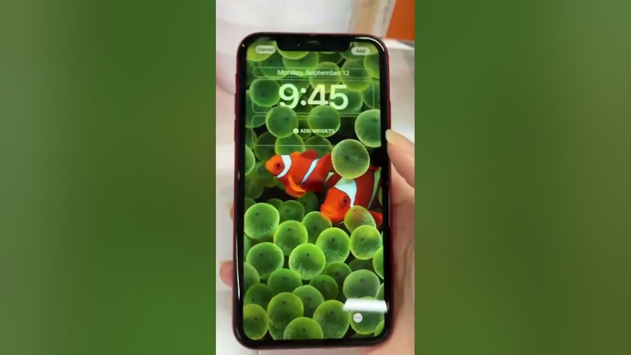 you-must-know-how-to-customize-lock-screen-wallpaper-on-ios-16-shorts