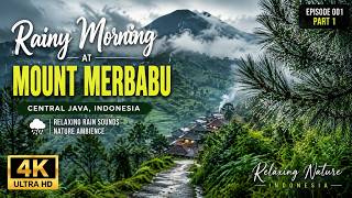 Rainy Morning at Mount Merbabu 🌧️ Relaxing Rain Sounds | Nature Ambience 4K | Episode 001 Part 1