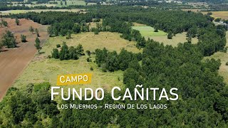 Campo de 17 hectáreas en Los Muermos - Fundo Cañitas, Región de Los Lagos