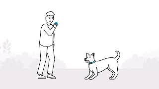 Understanding your dog's body language | The Battersea Way by Battersea Dogs and Cats Home 9,063 views 1 year ago 3 minutes, 26 seconds