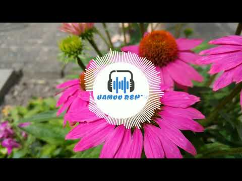 ريمكس اغنية تعالي ادلعك طلعت في دماغي توزيع محمد شعبان 2022