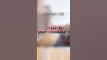 Trust in your teammate