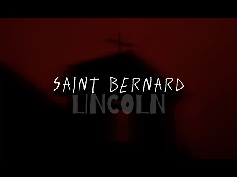Saint Bernard - Lincoln 🐶 Lyrics