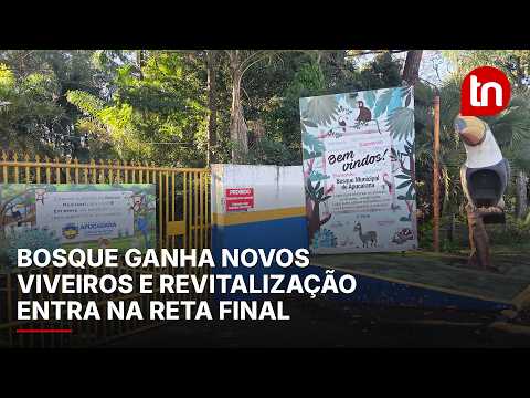 Com 70% das obras concluídas, Bosque de Apucarana passa por reestruturação para reabertura