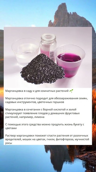 i Марганцовка в саду и для комнатных растений 🌱 O - YouTube