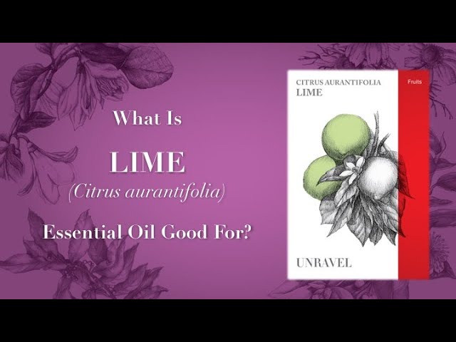 What is Lime Essential Oil Good For?
