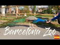 An amazing day at the Barcelona Zoo
