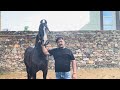 Horse Riding का Royal Fun 👑🐎 + Farewell Max 🐶 | Emotional &amp; Powerful Day 🙏””