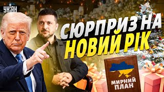 Скоро ВСЕ ВИРІШИТЬСЯ: Зеленський ДОМОВИВСЯ з Трампом! Мирна угода під "ялинку". ПОСЛУХАЙТЕ уважно