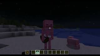 Minecraft 1 18 2   Solo 2024 05 31 06 41 00