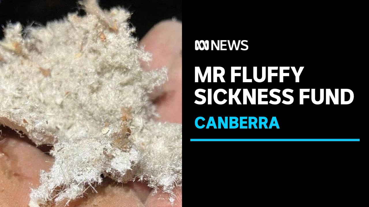 16 million scheme for Mr Fluffy asbestos sickness opened in Canberra