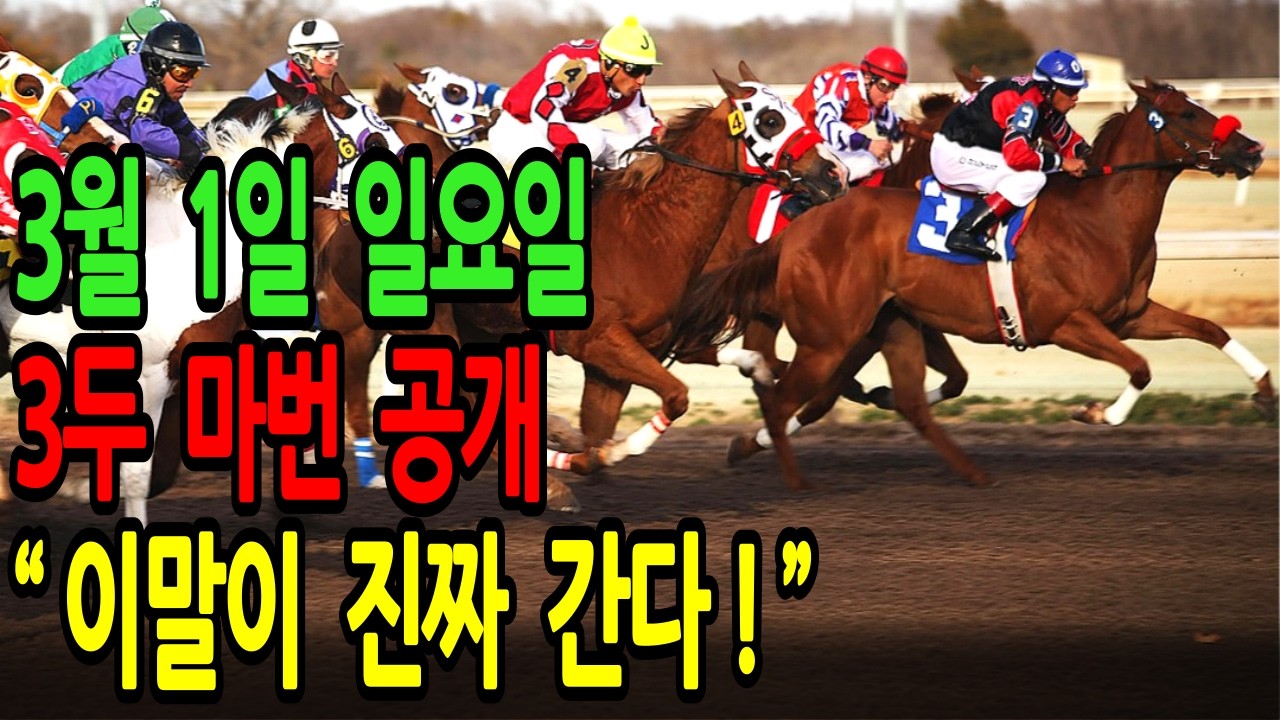 3월 1일 일요일 경마~ "이 말이 진짜 간다" 인기 순위에 절대 속지 마세요ㅣ승전경마 전문가의 이변 포착 l 경마 l 경마예상 l 코리아레이스 l 검빛경마 ㅣ경마정보