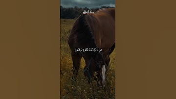 إِنَّ فِے اِ۬لسَّمَٰوَٰتِ وَالَارْضِ لَأٓيَٰتٖ لِّلْمُومِنِينَۖ - تلاوة بصوت معاذ الخلطي#تلاوة_خاشعة