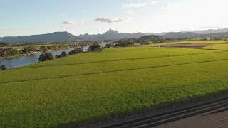 Quick Views To Mt. Warning - MAVIC AIR Drone