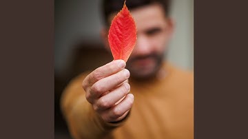 Angelozo Modi (Demo )