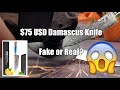 75 usd damascus knife  fake or real experiment