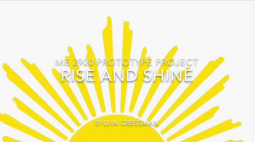 ME 2900 Prototype Project