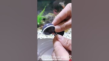 Link in Bio ✅ | Mini Aquarium Oxygen Pump