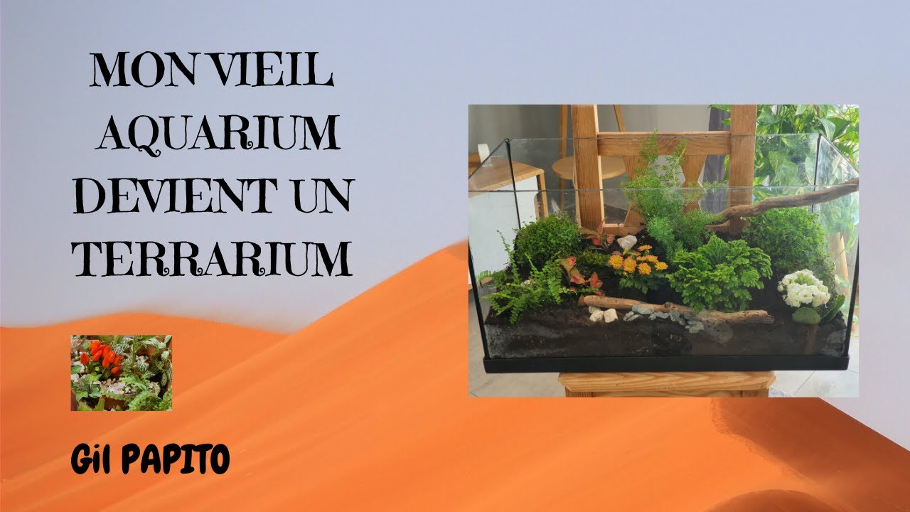 Mon vieil aquarium devient un terrarium, DIY YouTube