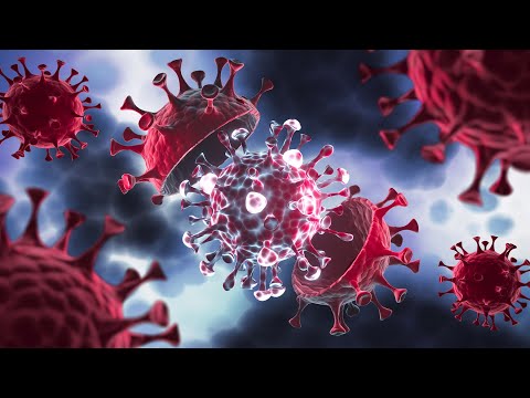 ليه مفيش علاج لكل الفيروسات الجزء التاني